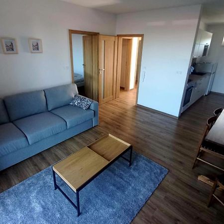Apartman Violetta Нове-Мєсто-над-Метуї Екстер'єр фото