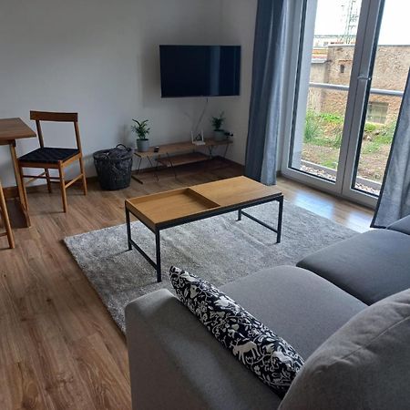 Apartman Violetta Нове-Мєсто-над-Метуї Екстер'єр фото