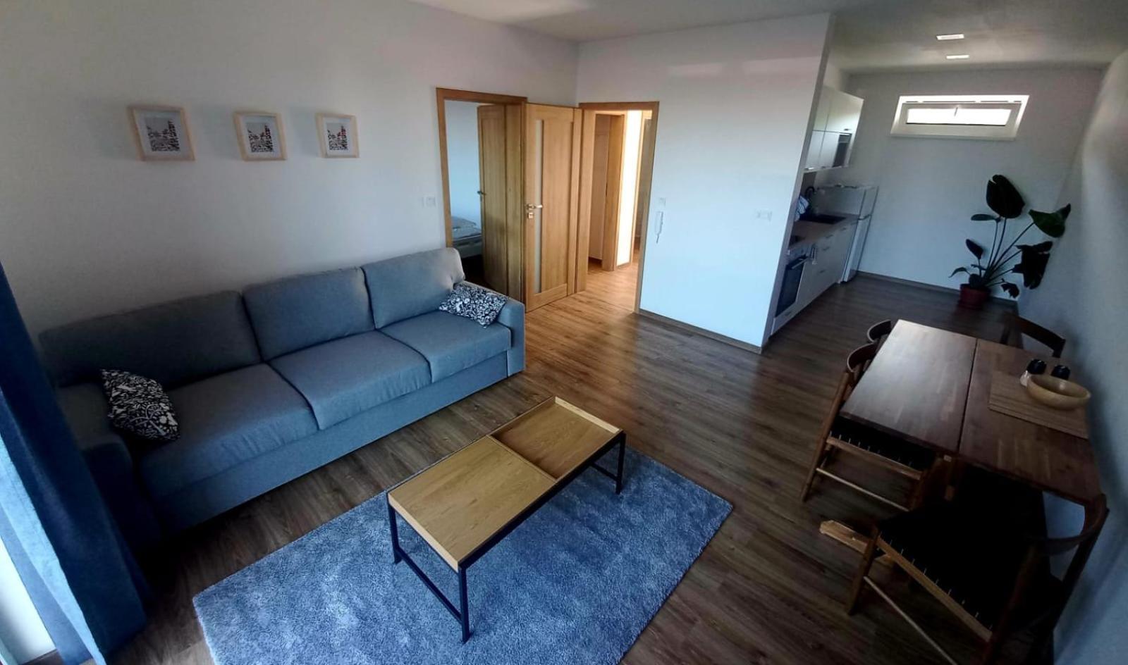 Apartman Violetta Нове-Мєсто-над-Метуї Екстер'єр фото