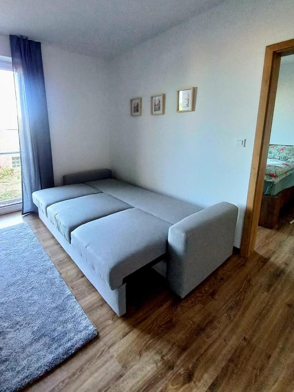 Apartman Violetta Нове-Мєсто-над-Метуї Екстер'єр фото