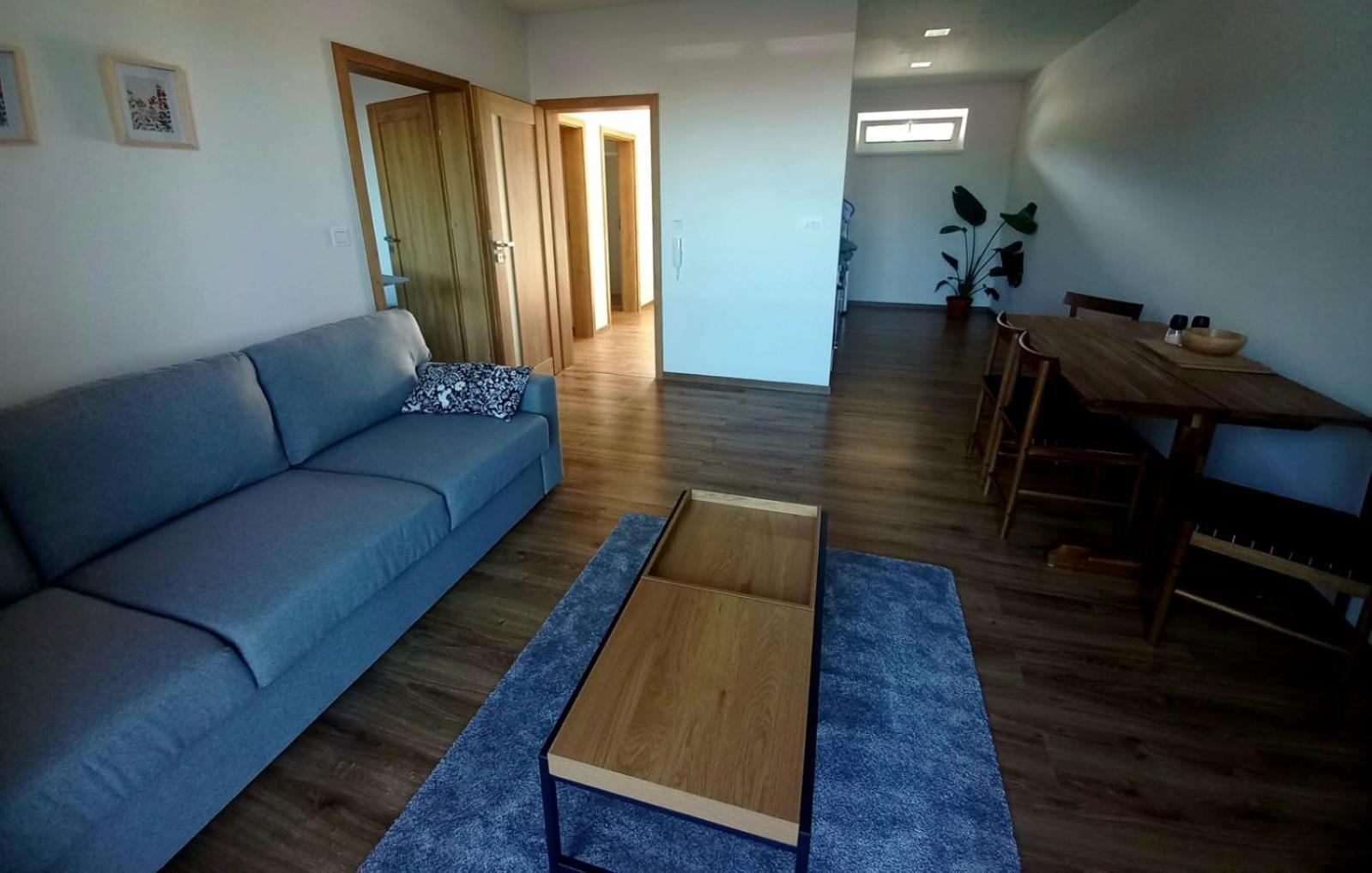 Apartman Violetta Нове-Мєсто-над-Метуї Екстер'єр фото